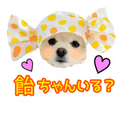 Dog stamp-Headgear ver.2-