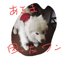 サモエドわんこのおしゃべり Line スタンプ Line Store サモエドわんこのおしゃべり Line スタンプ Line Store