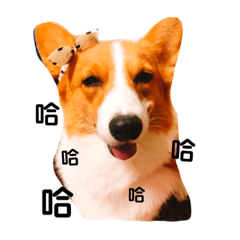呵呵呵呵呵呵呵呵呵