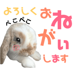 cute rabbit sticker omochi Ver.