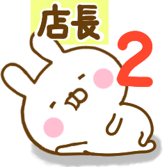 Rabbit Usahina Store Manager 2