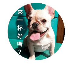 cute dog!!!!!!