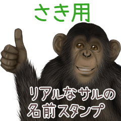 Saki Monkey's real name Sticker