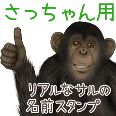 Sacchan Monkey's real name Sticker