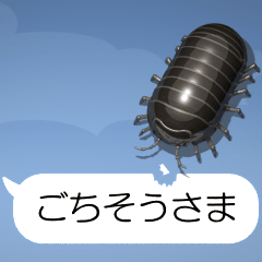 Pill bug on the Smartphone