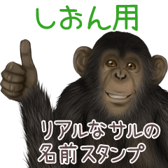 Shion Monkey's real name Sticker