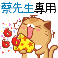 Niu Niu Cat-"Mr. Tsai"