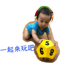 阿奎奎日常