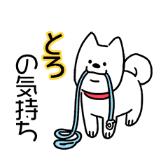 犬ダイスキ！【とろ】の気持ち