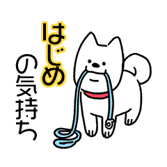 犬ダイスキ！【はじめ】の気持ち