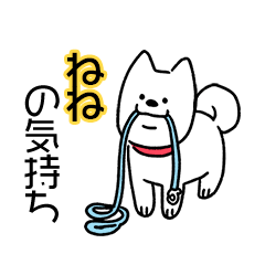 犬ダイスキ！【ねね】の気持ち