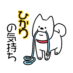 犬ダイスキ！【ひかり】の気持ち