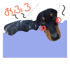 dobermann ginrai 4