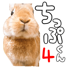 Rabbit of chip -kun4