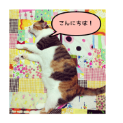 name of komugi