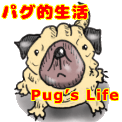 Pug's Daily Life