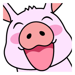 Kobuta is a little pig.Close-up ver.