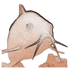 CorydorasAlbino in Manga style