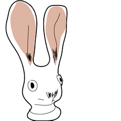 a sensitive rabbit
