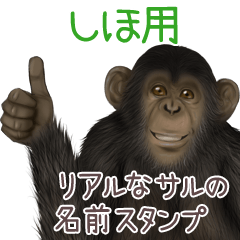 Shiho Monkey's real name Sticker