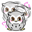 Kururu owl