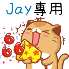 Niu Niu Cat-"Jay"