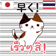 Japanese-Thai Cat Speaking