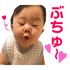 sakkun sutanpu nikome