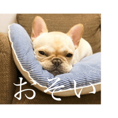 omochi's stamp 1