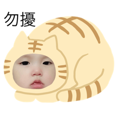 寶貝肥肥1