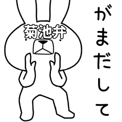 Dialect rabbit [kikuchi]