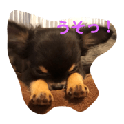 British tiwawa