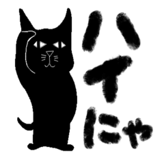 Black cat Hiroshi