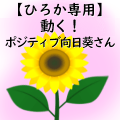 Hiroka only move! Mr. Positive Sunflower