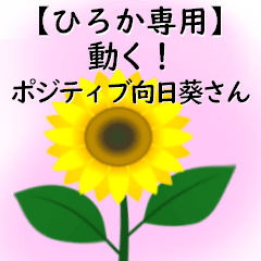 Hiroka only move! Mr. Positive Sunflower