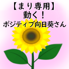 Mari only move! Mr. positive sunflower