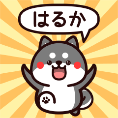 Sticker to Haruka from black Shiba