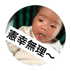 shimasanTi