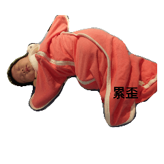 悄悄悄悄