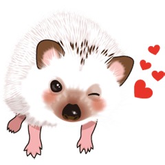 lovely hedgehog!!! animated stickers