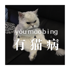翠花公子