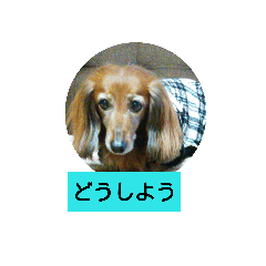 runamama1223