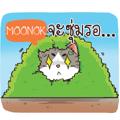 MOONOK cheeky cat e