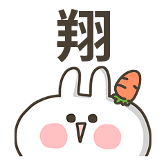 【翔】專用貼圖-蘿蔔兔