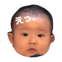 reia0425