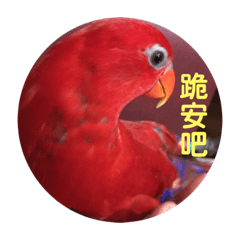 The life of a bird