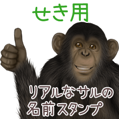 Seki Monkey's real name Sticker