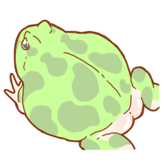 Cute Pacman frog