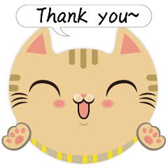 I love CAT Face-Thank you