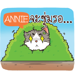 ANNIE cheeky cat e